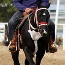 Mark Curtis - @Bandyrich - Twitter