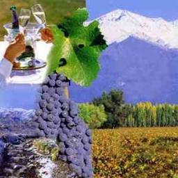 Mendoza Wine Tours é uma empresa dedicada à estrada viagem vinho e suas principais atrações, a vinícola e seus encantos ...