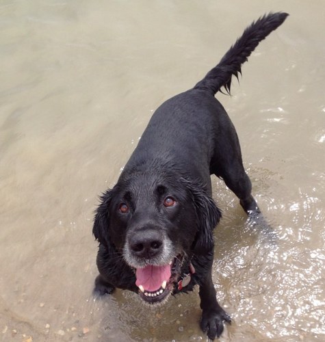 ggrabovi's profile picture. Live to ride, Ride to live!