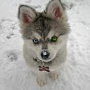 becky phoenix tracy - @beckyphoenix - Twitter