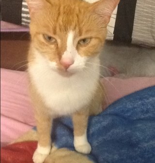 MyLoveRick's profile picture. I love the walking dead im 13 years old totally love the colour BLUE I love supernatural