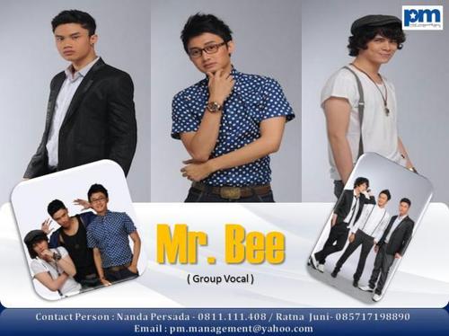 OFFICIAL TWITTER of MR. BEE: @Bowby_MrBee, @Christian_MrBee and @Arjuna_MrBee