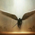 Carmen Rincon (@carmenrinconjm) Twitter profile photo
