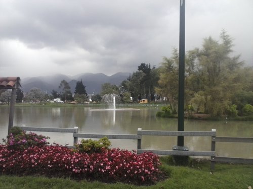 restaurante vegetariano comida sana en bogota colombia