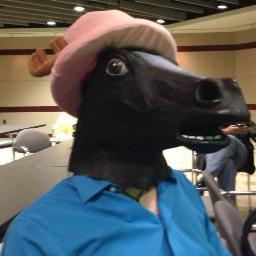 The Information Security Horse. I RT PII, Credit Cards, Drivers Licenses, Housekeys, whatever. NBD.
