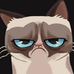 GRUMPY CAT!