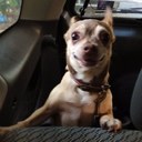 Guillermo Razo Zamora - @Willrazo - Twitter