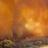 Wildfire