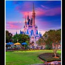 Carrie Holman - @Holmancann - Twitter