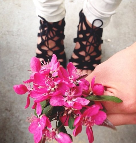 Dreamer22girl's profile picture. إلى أن أصل واحة الاستقرار الروحي