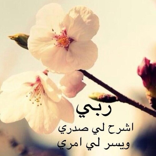 mndobt22's profile picture. 