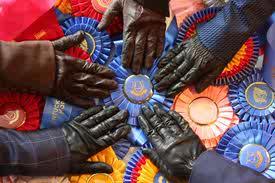 TinaAlta's profile picture. I will always L♡VE my horses because they will never let me down or tell me that I am not the best .. He loves me for me