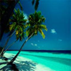 Holiday Houses & Unique Retreats to rent in Kenya. We put the client directly together with the owner. Like it, share it!