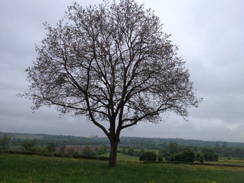 777erloy's profile picture. producer VARA / DWDD