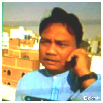Journalist