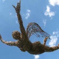 Carole Beavis (@carolebeavis) 's Twitter Profile