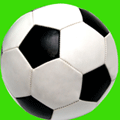 thesoccermaster's profile picture. I Eat, Breathe and Sleep Soccer!:) When i'm not playing I trade online for big $$$