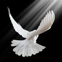 Begin With Prayer (@beginwithprayer) 's Twitter Profile