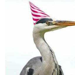 flux_feed's profile picture. 