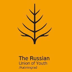 RSM_klgd's profile picture. Официальный твиттер-аккуант Калининградской региональной общественной организации общероссийской общественной организации Российский Союз Молодежи