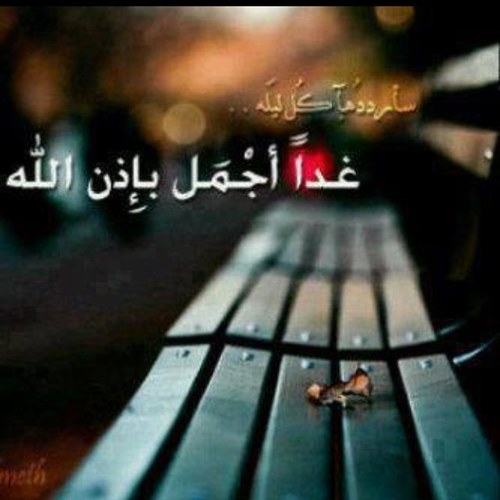 بكالوريوس كلية المعلمين - دبلوم عالي في الارشاد -موجه طلابي في تعليم الاحساء