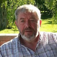 Alfie McCaffrey (@pigoftheday) 's Twitter Profile