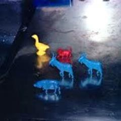 aristocat2000's profile picture. 