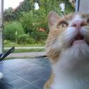 Anne Meyer - @abhila - Twitter