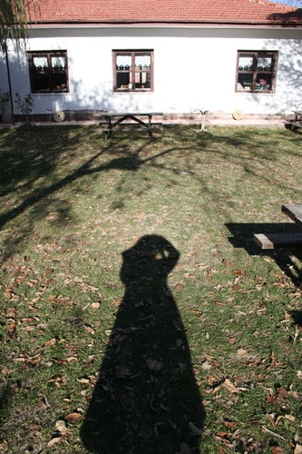 beyzakurt__'s profile picture. 