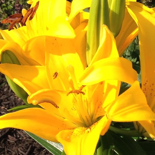 Kajenks22's profile picture. mom, grammy.