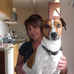 Orakei's profile picture. 