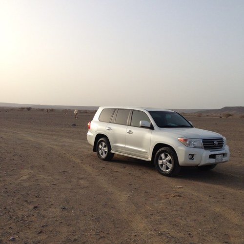 nano2013nano's profile picture. استغفر الله