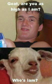 johnnyboytrist's profile picture. Smoke weed and play guitar #teamfollowback