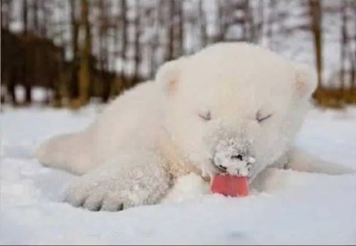 wonderland2046's profile picture. 영화미술인/풍부한 언어생활/독일의 빈티지