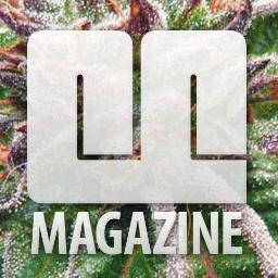 Revista Digital 100% cannabica 100% activista y 100% gratuita
In skunk we trust
http://t.co/SKgPnSdjcg
http://t.co/FBOdjlxray