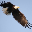 John Allgaier - @jfallgaier - Twitter