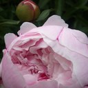 Avril Henry - @AvrilHenryGroup - Twitter