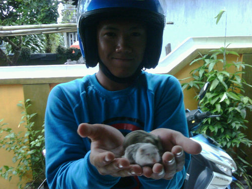 gangnam48's profile picture. Memulai kehidupan baru dari 0 !!