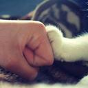 PeterChow - @PeterChow6 - Twitter