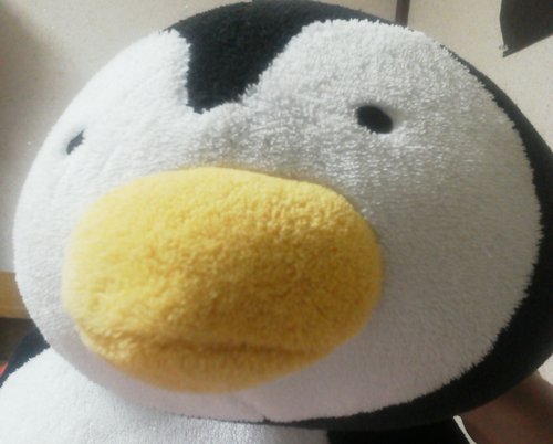 田舎で育った多趣味な男
