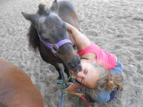 Wellant klaaswaal 3LWT - If You Can Dream It, You Can Do It! ~ Walt Disney