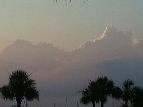 janna_ramsey's profile picture. 