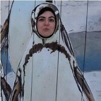 Deniz (@denizashan) 's Twitter Profile