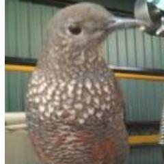 pakuopaku's profile picture. エロ好きアラフォー♂です。よろしく♪