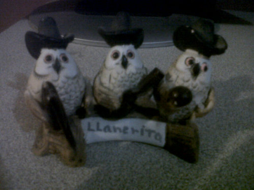 r_esteves74's profile picture. 