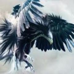 uhuntgx's profile picture. Software Developer & Technologist