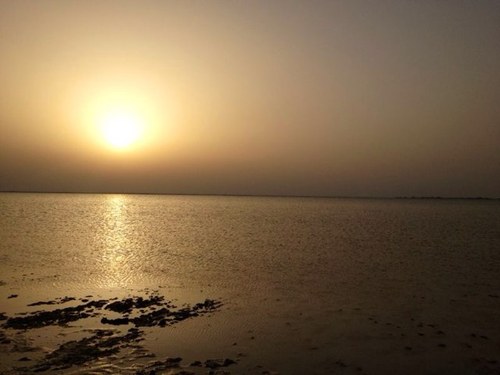 طبيبة أسرة فخورة، خريجة جامعة الدمام ، طموحة لمستقبل طبي مزدهر،شغوفة بالتدوين والكتابة وإن كنتُ مُقلِّة.