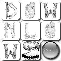downlow