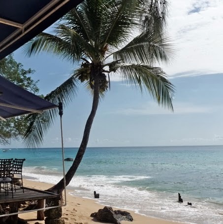 http://t.co/2eOr3DMJLJ is owned and operated by the husband and wife team of Carolyn (a Bajan) and Wilfred (Billy) O'Dell
