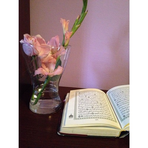 asmaj988's profile picture. K.S.A